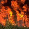 В Калифорнии объявили режим чрезвычайной ситуации из-за лесных пожаров