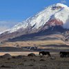 Президент Эквадора совершил восхождение на высочайший вулкан