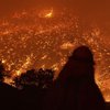 Площадь лесного пожара в Калифорнии превысила 400 квадратных километров