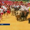 В США прошел первый в стране бег с быками