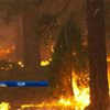 Спасатели отчаялись: Масштабный пожар в Калифорнии тушат 8-й день