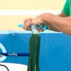 На крышах домов Бангкока выращивают питательные водоросли