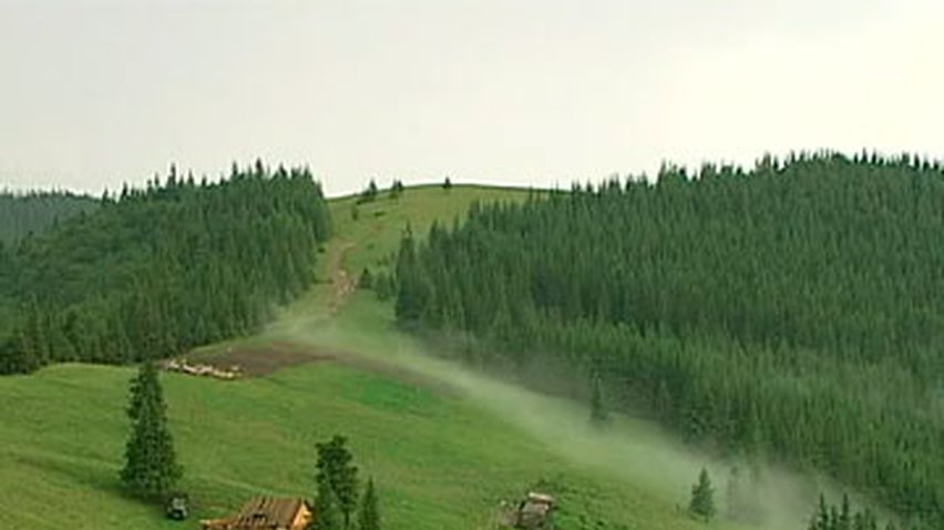 В Украине похолодает до +8