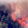 Калифорния страдает от сильнейших в истории лесных пожаров