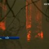 Калифорния пылает: Лесные пожары тушат уже десятый день