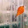 Погода и сезон не вызывают депрессию, - ученые