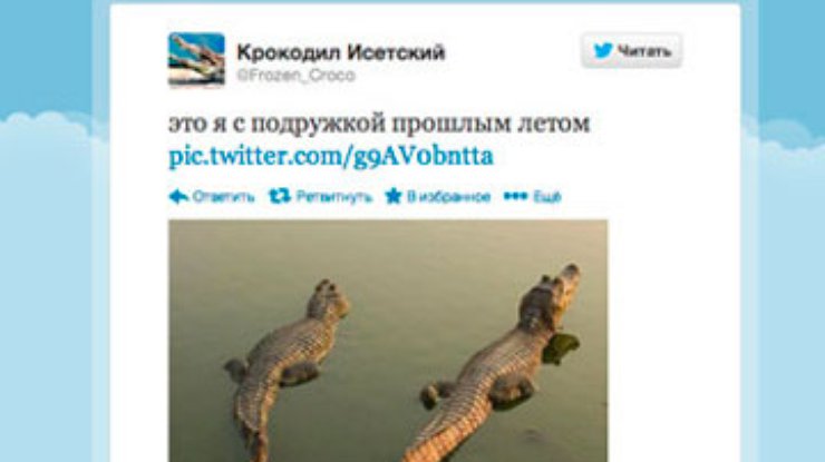 В Twitter появился микроблог сбежавшего в Екатеринбурге крокодила