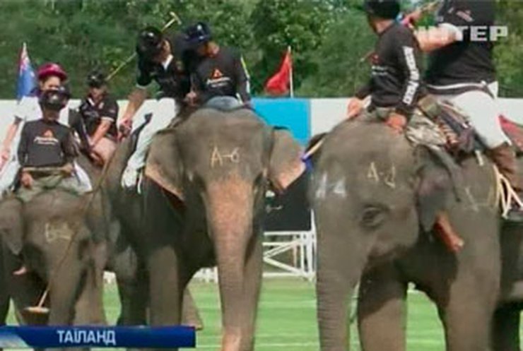 В Таиланде провели поло на слонах