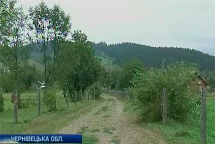 Жительница буковинского села с землей продала дорогу к дому
