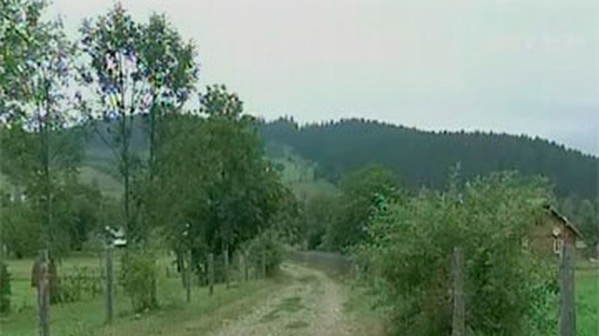 Жительница буковинского села с землей продала дорогу к дому