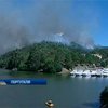 Португалия не справляется с лесными пожарами