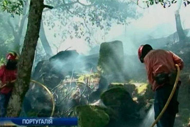 Португальские спасатели борются с лесными пожарами, погибло пятеро пожарных