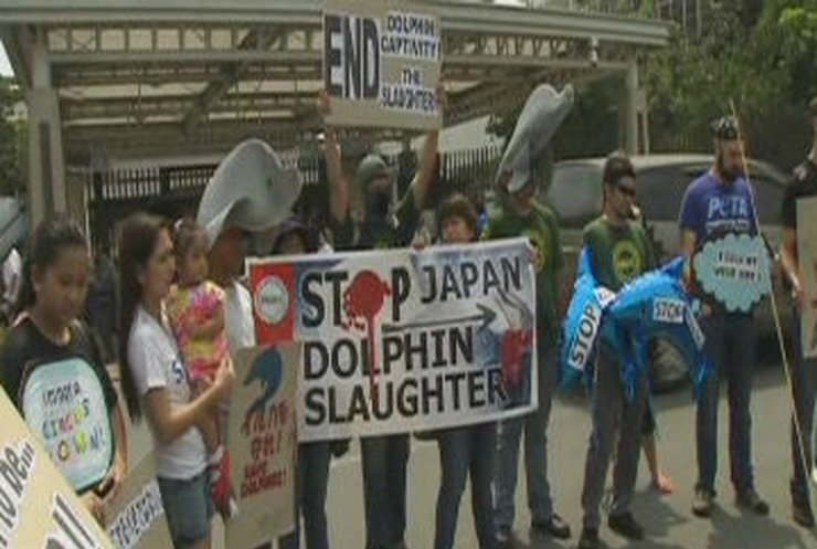 Филиппинцы призвали Японию не убивать дельфинов