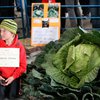 Десятилетний мальчик вырастил 42-килограммовую капусту на Аляске