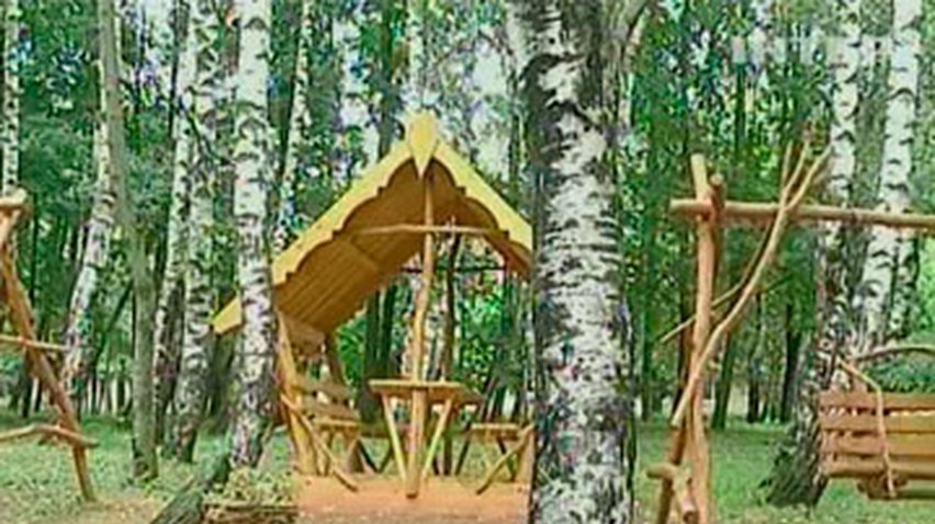 В Черновцах местный парк украсили произведениями из спиленных веток