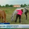 В Харькове девочке грозит ампутация руки из-за укуса лошади