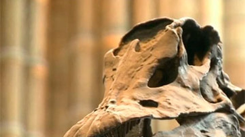 Лондонский музей создал 3D-модели доисторических артефактов