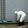 Южная Корея запретила ввоз японских морепродуктов