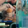 Повара соревновались на фестивале уличной пищи в Москве