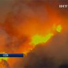 Жителей Сан-Франциско эвакуируют из-за лесных пожаров