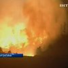 Аргентина страдает от масштабных лесных пожаров