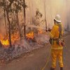 Австралия изнывает под жаром лесных пожаров