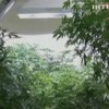 В штате Нью-Джерси разрешили лечить детей марихуаной