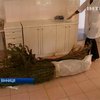 В Виннице пьяный водитель перевозил 4 килограмма наркотиков