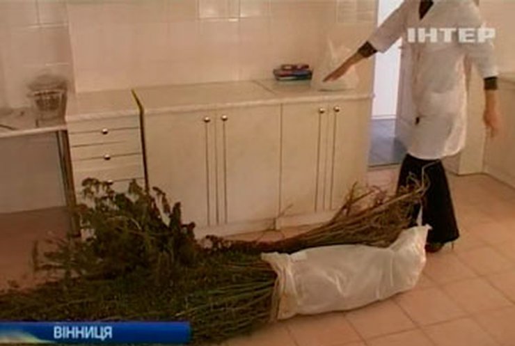 В Виннице пьяный водитель перевозил 4 килограмма наркотиков