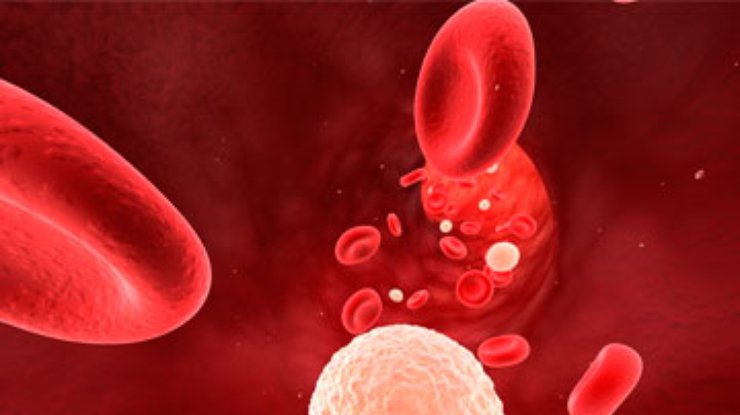 Количество лейкоцитов в крови связано со временем приема пищи