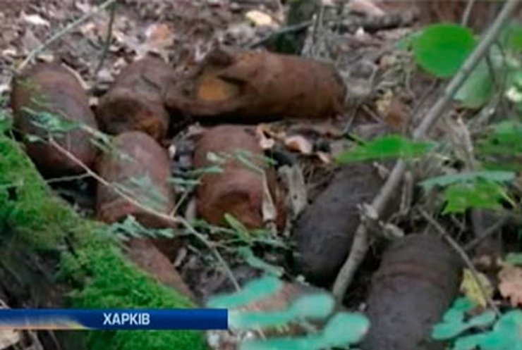 В Харькове обезвредили шесть снарядов времен войны