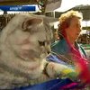 Рада одобрила европейскую конвенцию о защите домашних животных