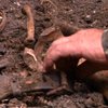 Во время ремонта на Харьковщине рабочие нашли человеческие останки