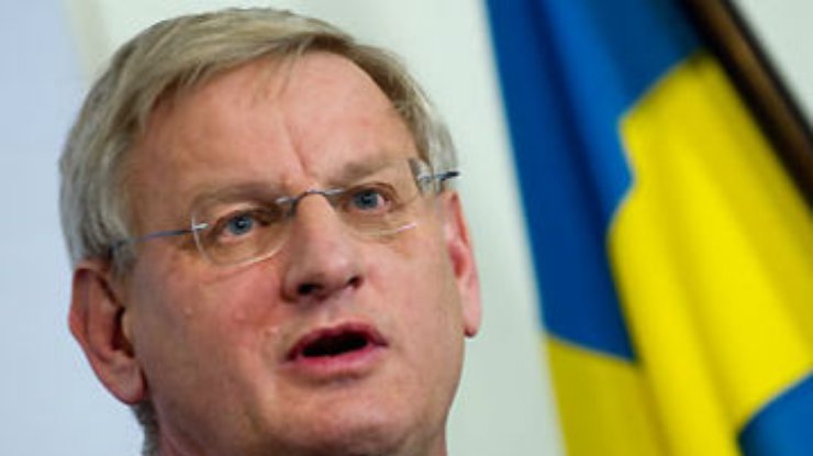Присоединение к ТС обрушит экономику Украины, - глава МИД Швеции