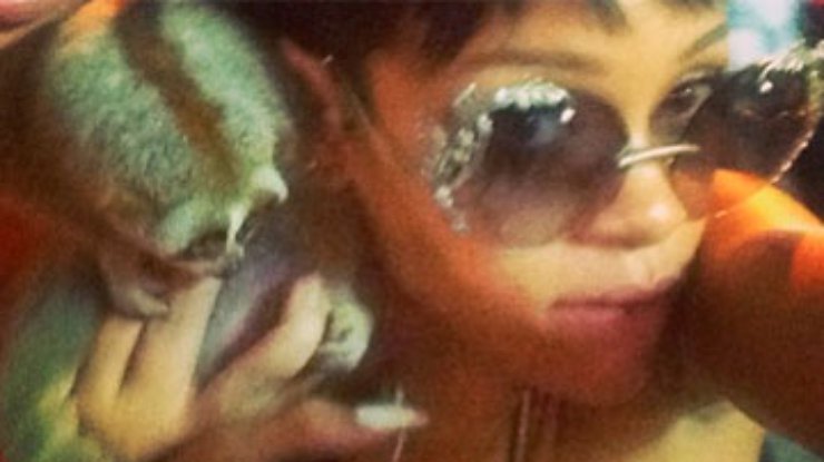 Двух жителей Таиланда арестовали из-за фото Рианны в Instagram