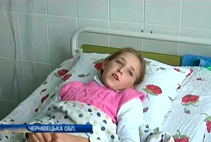 Буковина побила рекорд по числу отравлений грибами