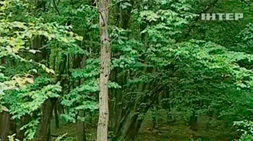 На Львовщине во время охоты чиновник застрелил коллегу