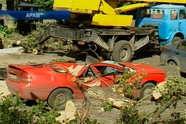 Столичным водителям порекомендовали не парковаться под деревьями