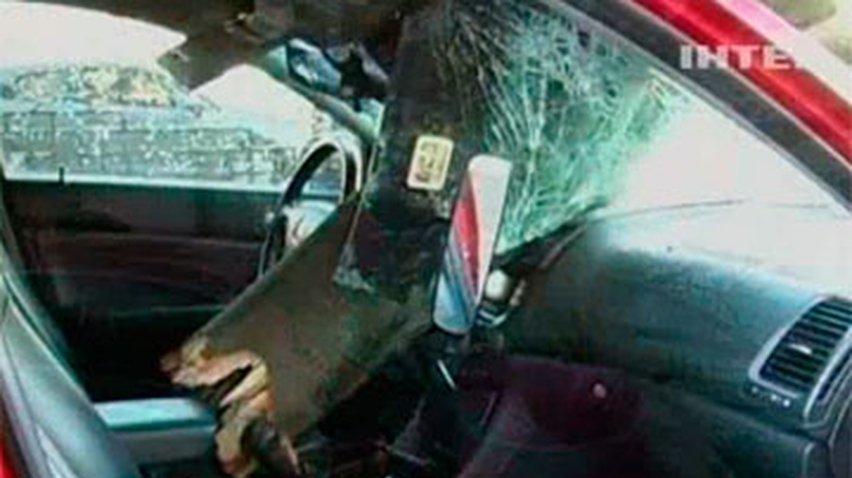 В Киеве дерево упало на иномарку