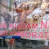 Румыния приняла закон об истреблении бродячих собак