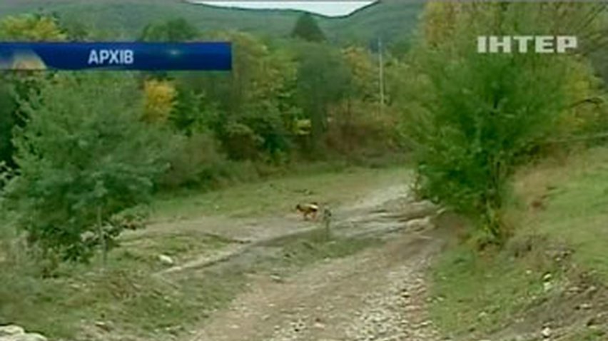 В Украине снова объявили штормовое предупреждение