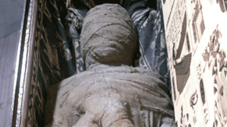 В Германии разгадали тайну найденной на бабушкином чердаке мумии