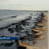 На пляж в Одесской области из моря выбросило неизвестные черные массы