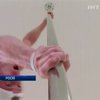 Мужчины постепенно приходят в pole dance