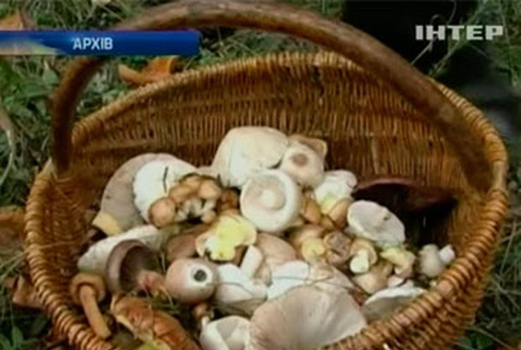 На Кировоградщине шесть человек отравились грибами