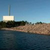 Медузы вывели из строя крупный атомный реактор в Швеции