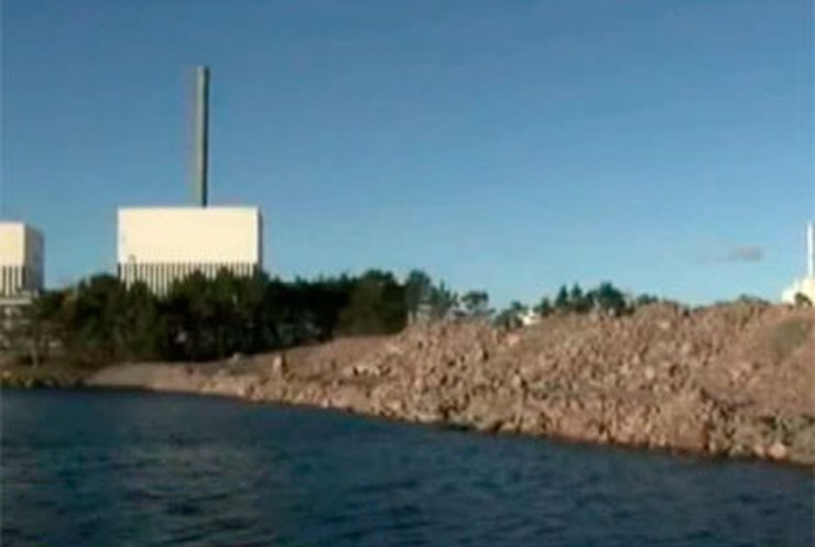 Медузы вывели из строя крупный атомный реактор в Швеции