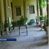 Дом Джузеппе Верди выставили на продажу