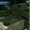 В Одессе выпустили на свободу наркоторговца