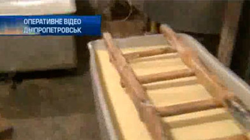 В Днепропетровске закрыли подпольный молочный цех